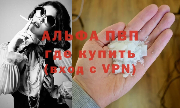 гидра Алексин