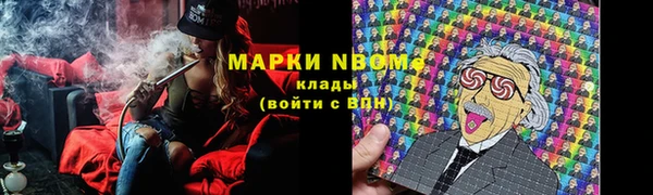 гидра Алексин