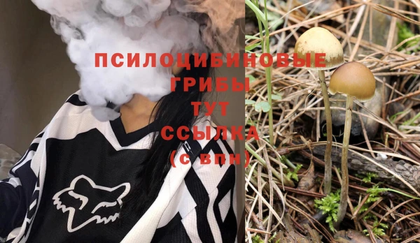 шишки Алексеевка